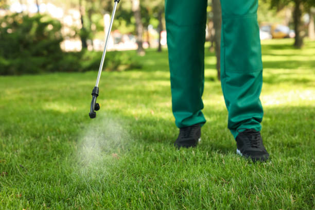 Best Pest Control for Restaurants  in Skyline Ganipa, NM