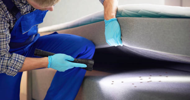 Best Pest Prevention Services  in Skyline Ganipa, NM