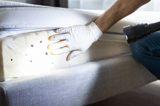 Best Pest Inspection Near Me  in Skyline Ganipa, NM