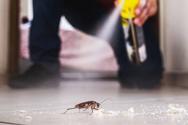 Reliable Skyline Ganipa, NM Pest Control Solutions